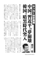 【サッカーＷ杯異聞】中国、習近平の夢崩壊　韓国、暗黒時代突入｜柳澤健【2026年9月号】